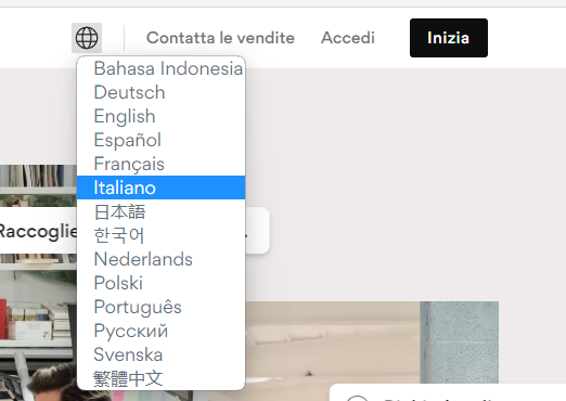 scelta lingua sito web