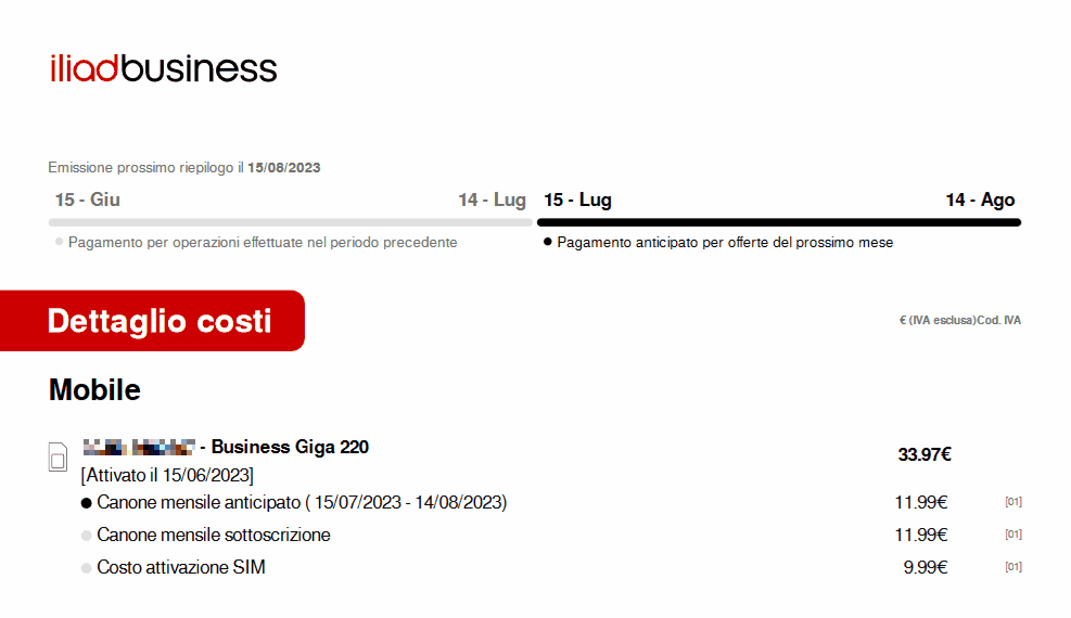 iliadbusiness - sample monthly summary